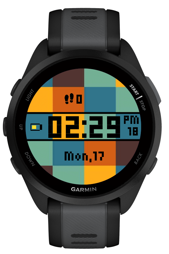 Forerunner 255 (replica) | Connect IQ Store