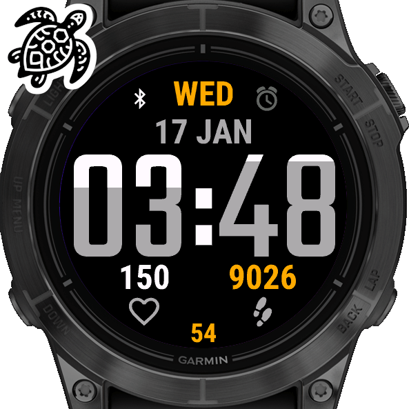 App for garmin fenix 5 on sale