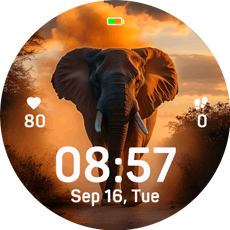 Sunset Elephant