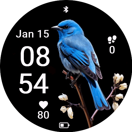 Blue Wing