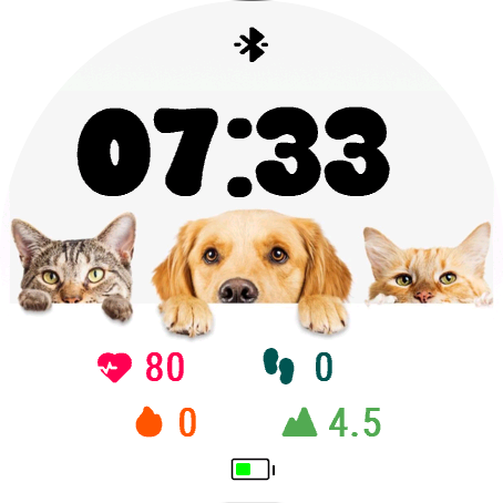 Cat And Dog