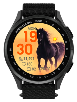 Dark Stallion