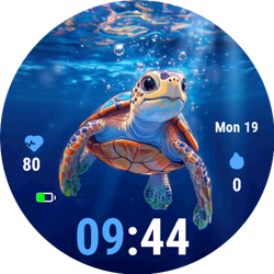 Turtle C2