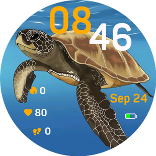 Ocean Turtle