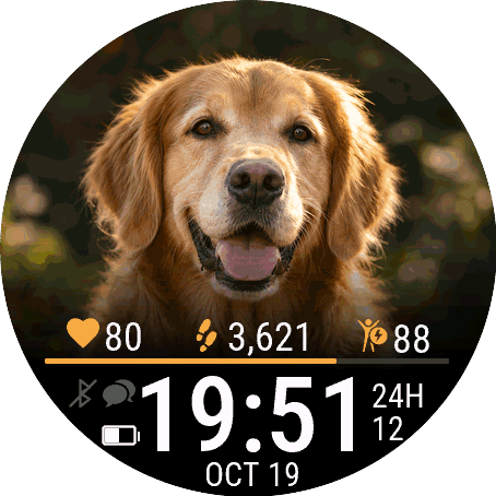 My Pet · Pawtrait
