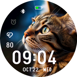 Tabby Cat