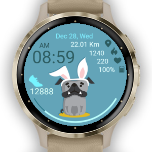 Connect IQ Store Free Watch Faces and Apps Garmin
