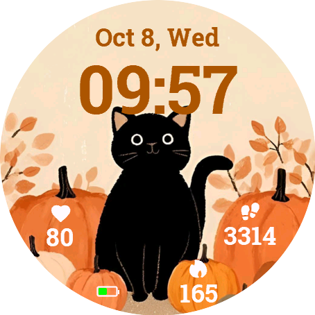 Pumpkin Cat