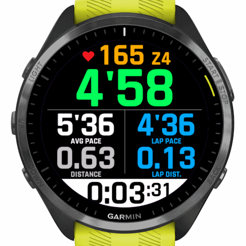 7 BIG DATA LAP