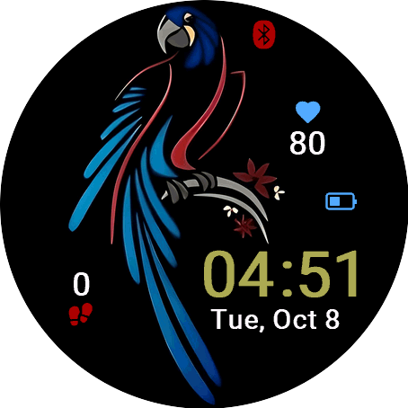 Colorful Parrot