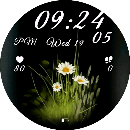 Meadow Daisy