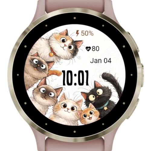 Cats
