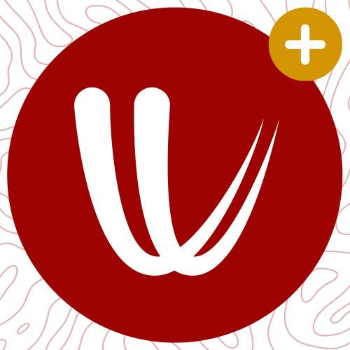 Windy.com Weather Widget