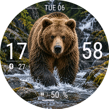 bear