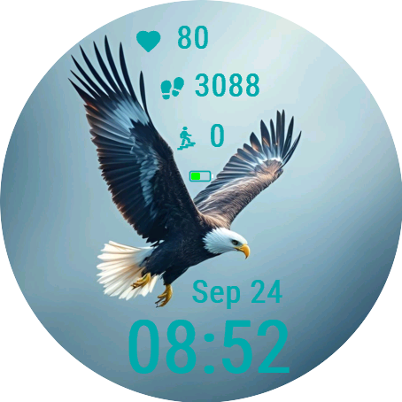 Eagle Soar