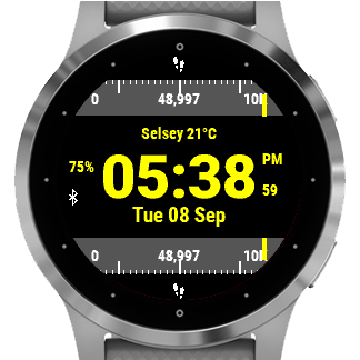 Garmin watch speedometer 2025