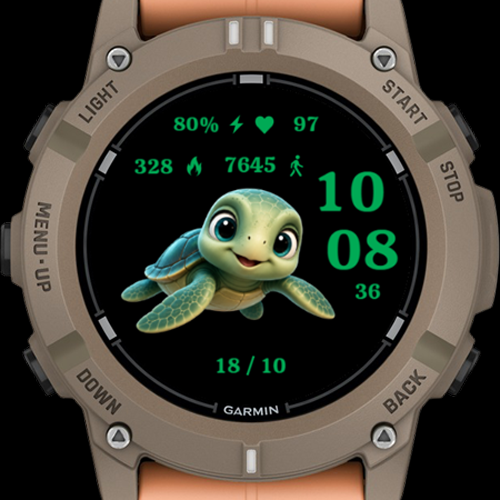 Tiny Turtle