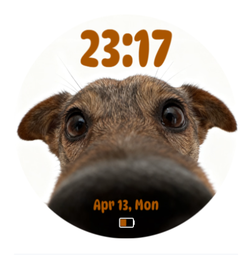 big nose dog