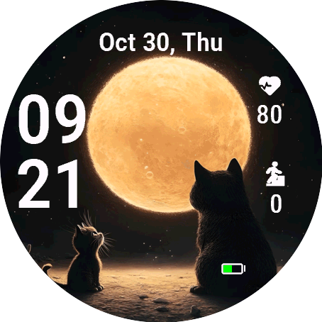 Night Companions