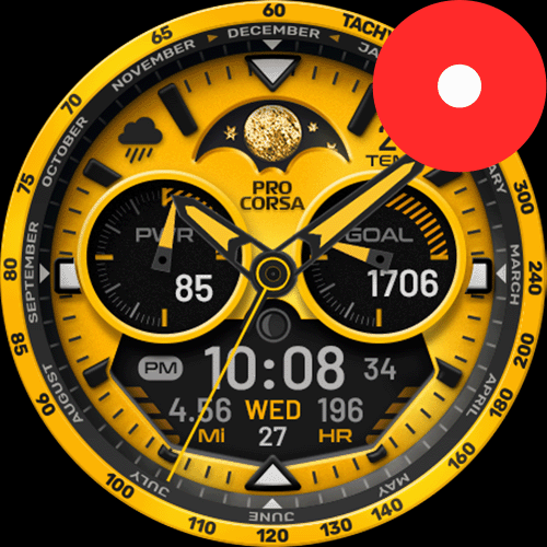 PRO CORSA Big Data – Fenix 8