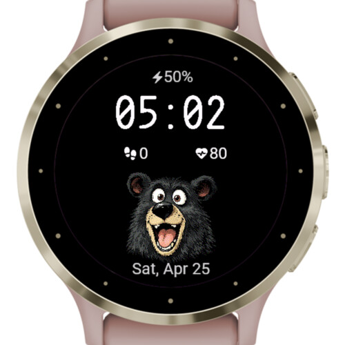 Funny Bear