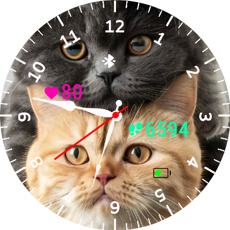 Cats