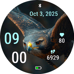 Hawk Soar