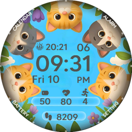 Cat Interface