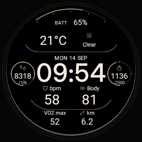 Dialform Data Watch Face
