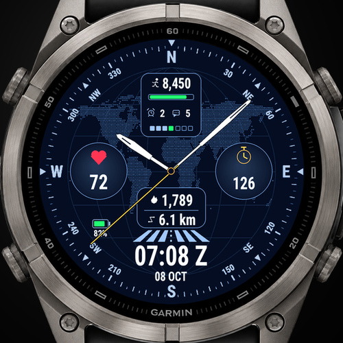 PILOT COMPASS + METAR