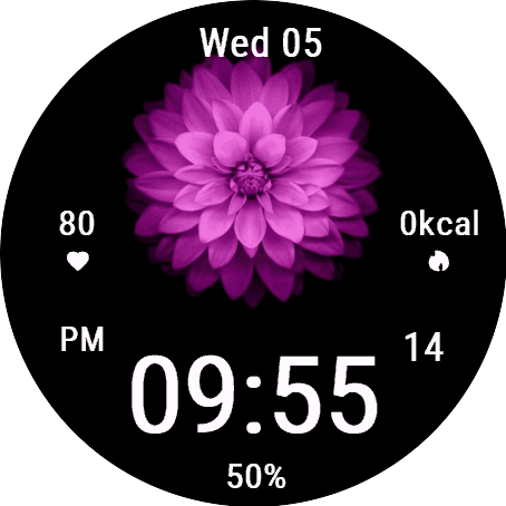 Purple Dahlia