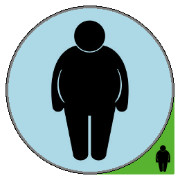 Fat Burner