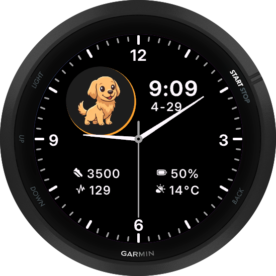 Pet Analog Animated - Golden Retriever Dog - Kpay