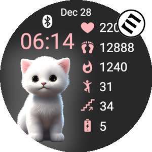Cute Animal Cat