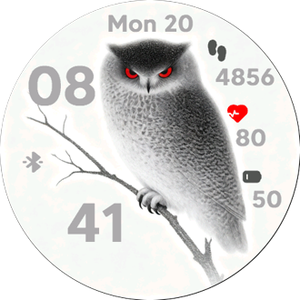 Silent Owl