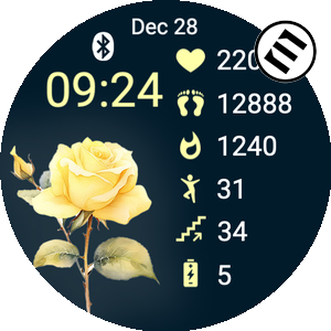 One Rose