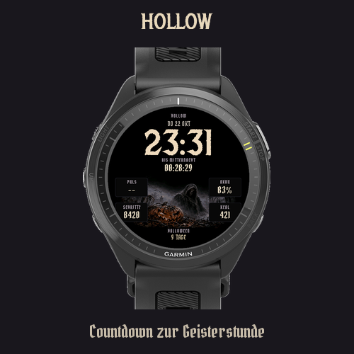 Hollow - the night is waiting
