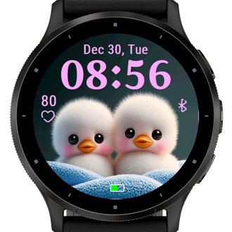 Two Ducks