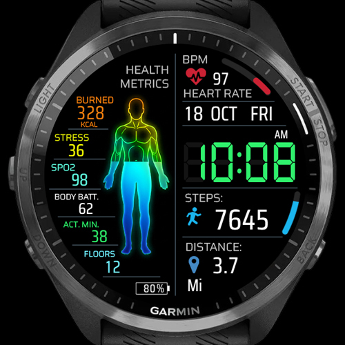 Body Info