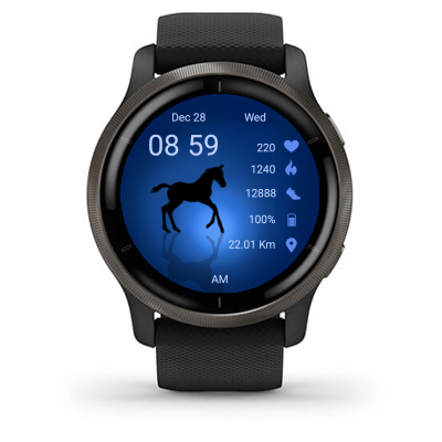 Run 11 · Screenshot 1