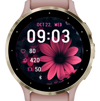 Pink chrysanthemum · Screenshot 2
