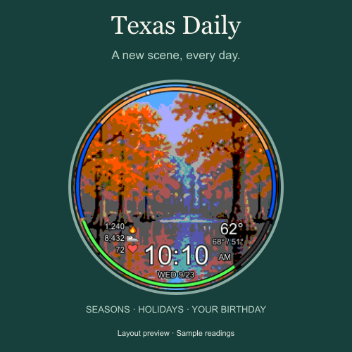 Texas Daily · Screenshot 2
