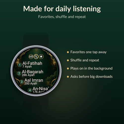 Quran (Koran) Audio - 114 Surahs Offline · Screenshot 4
