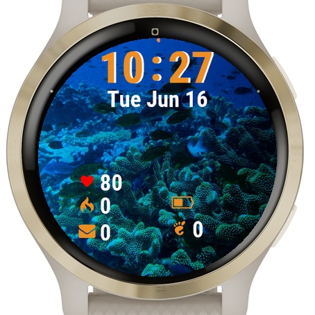 Fish Swimming Over Coral · Screenshot 0