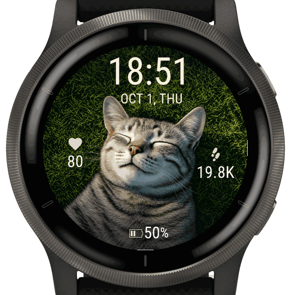 sleeping cat · Screenshot 3