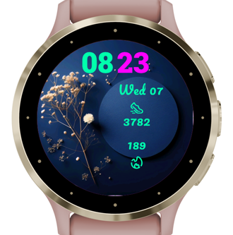 Petal · Screenshot 3