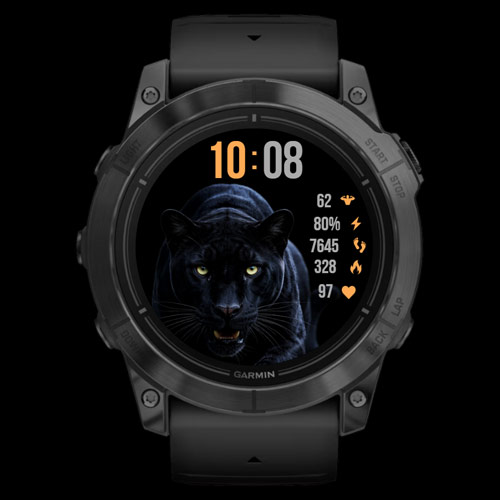 Dark panther · Screenshot 0