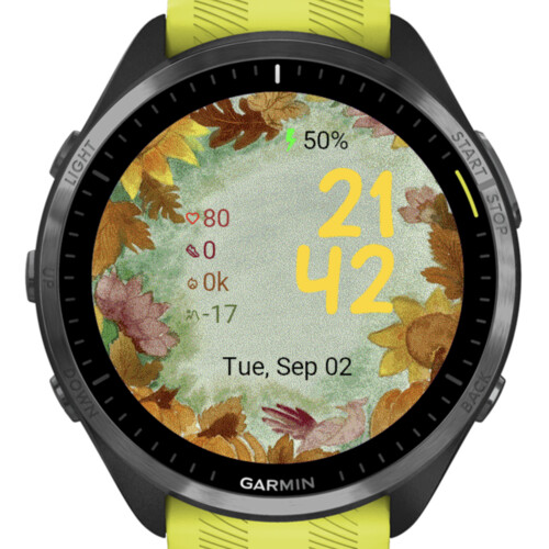 Pumpkin and Sunflower Wreath – Watercolor · Screenshot 1