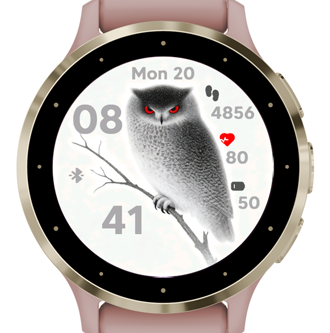 Silent Owl · Screenshot 1