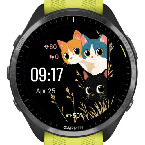 Trio Cats 4